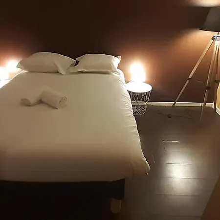 Sandy's 2 Beds Calme Parking Tramway * Blagnac